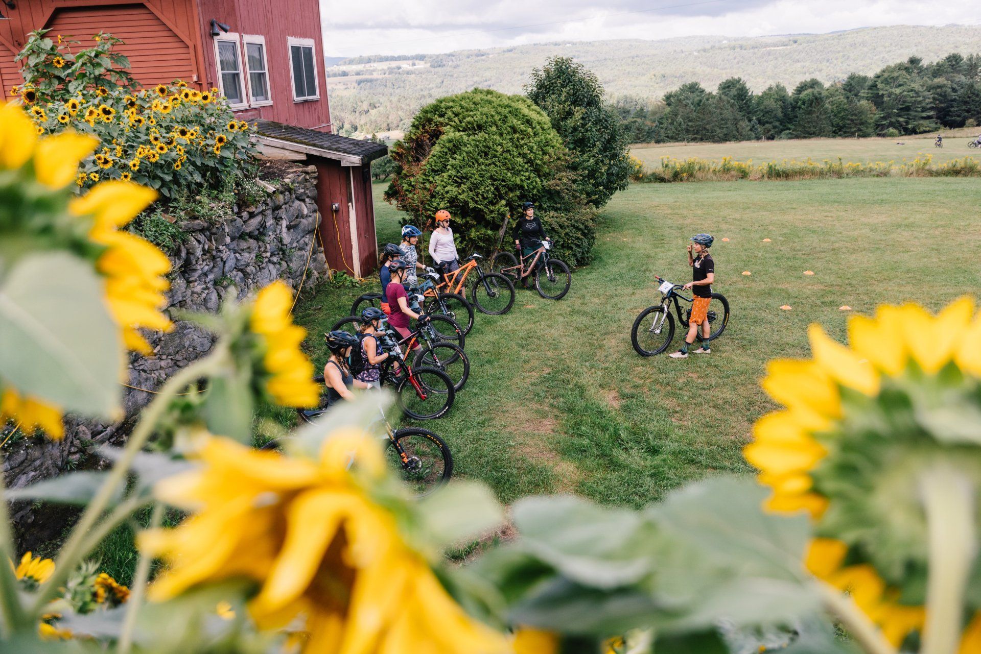 Cyclists gathered by a red farmhouse, framed by sunflowers in a grassy field.