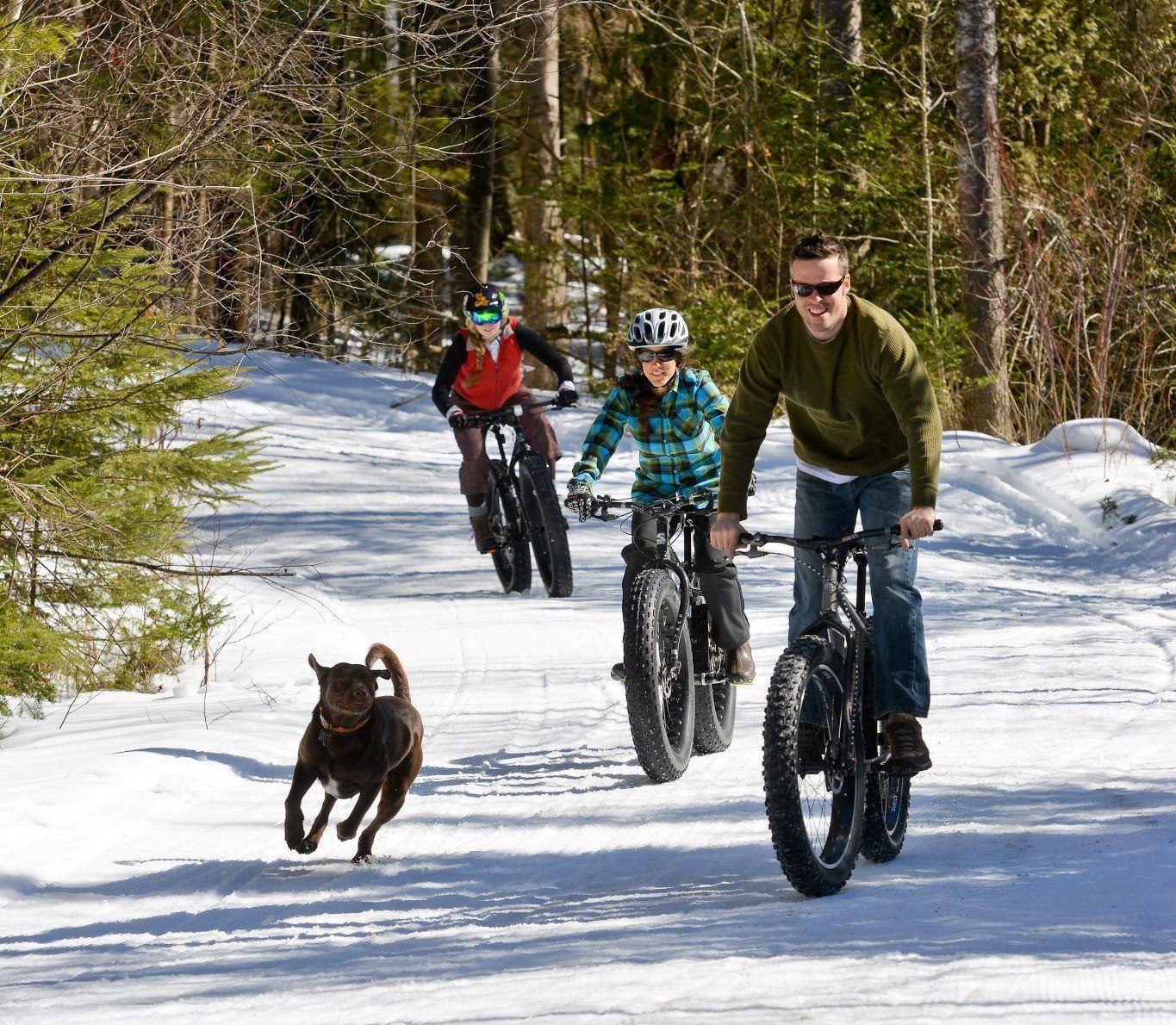 People biking on a snowy trail with a dog running ahead in a forest