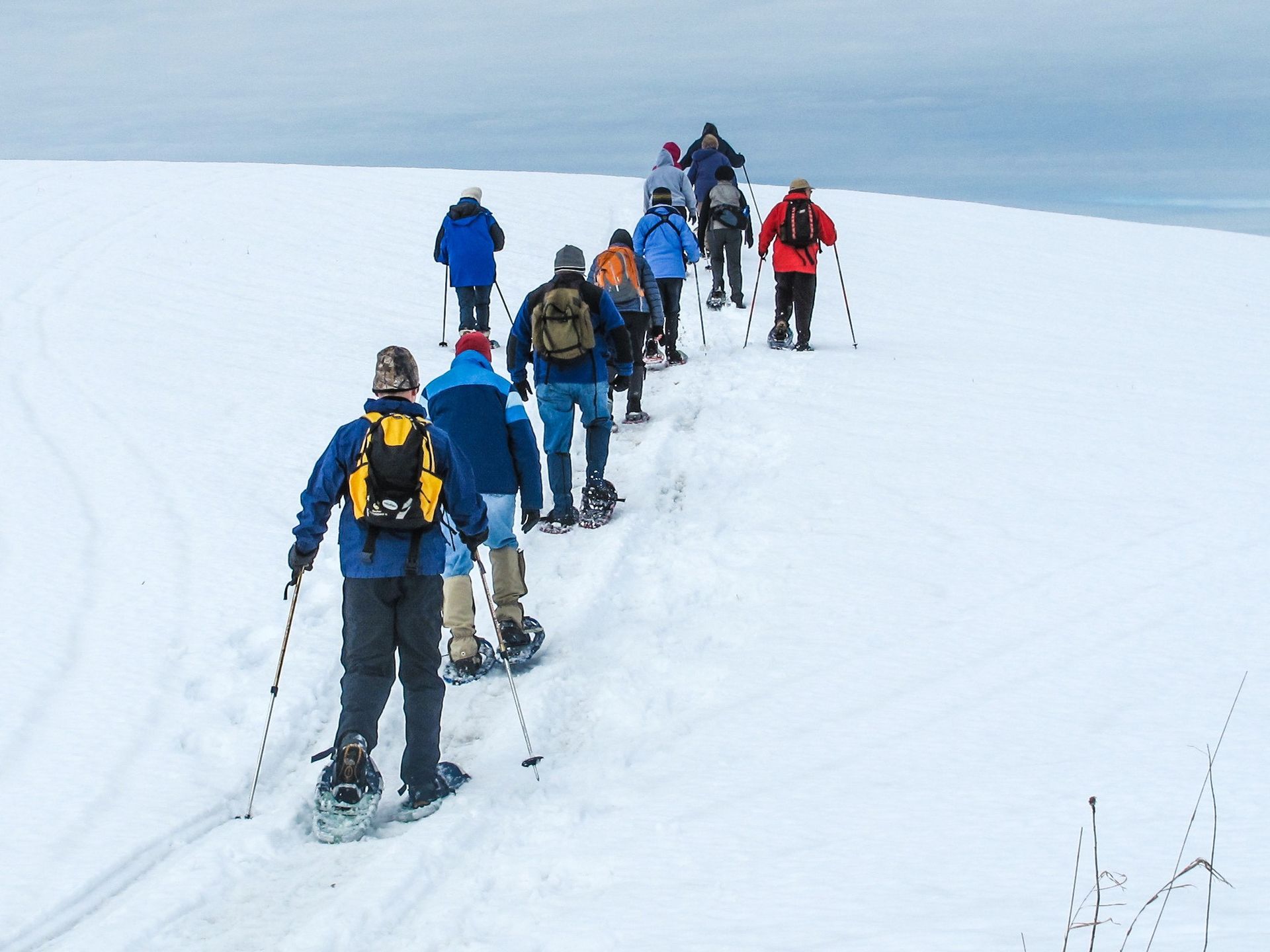Group snowshoeing in a line across a snowy landscape, carrying backpacks and poles.