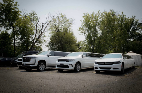 A row of three white stretch limousines parked on a gravel lot in front of trees.