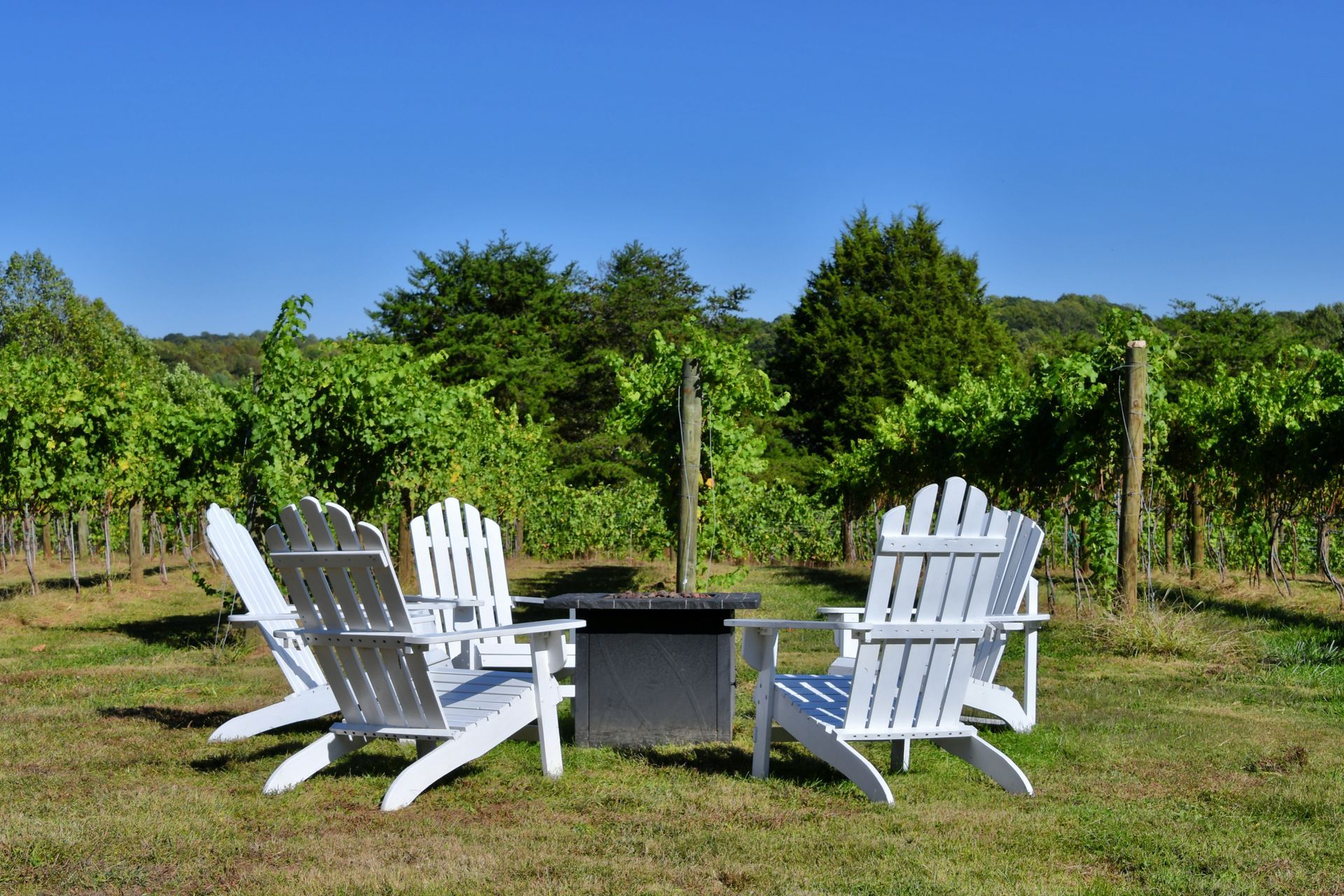 Spend a Relaxing Day at Jessie Creek Winery in Cape May County