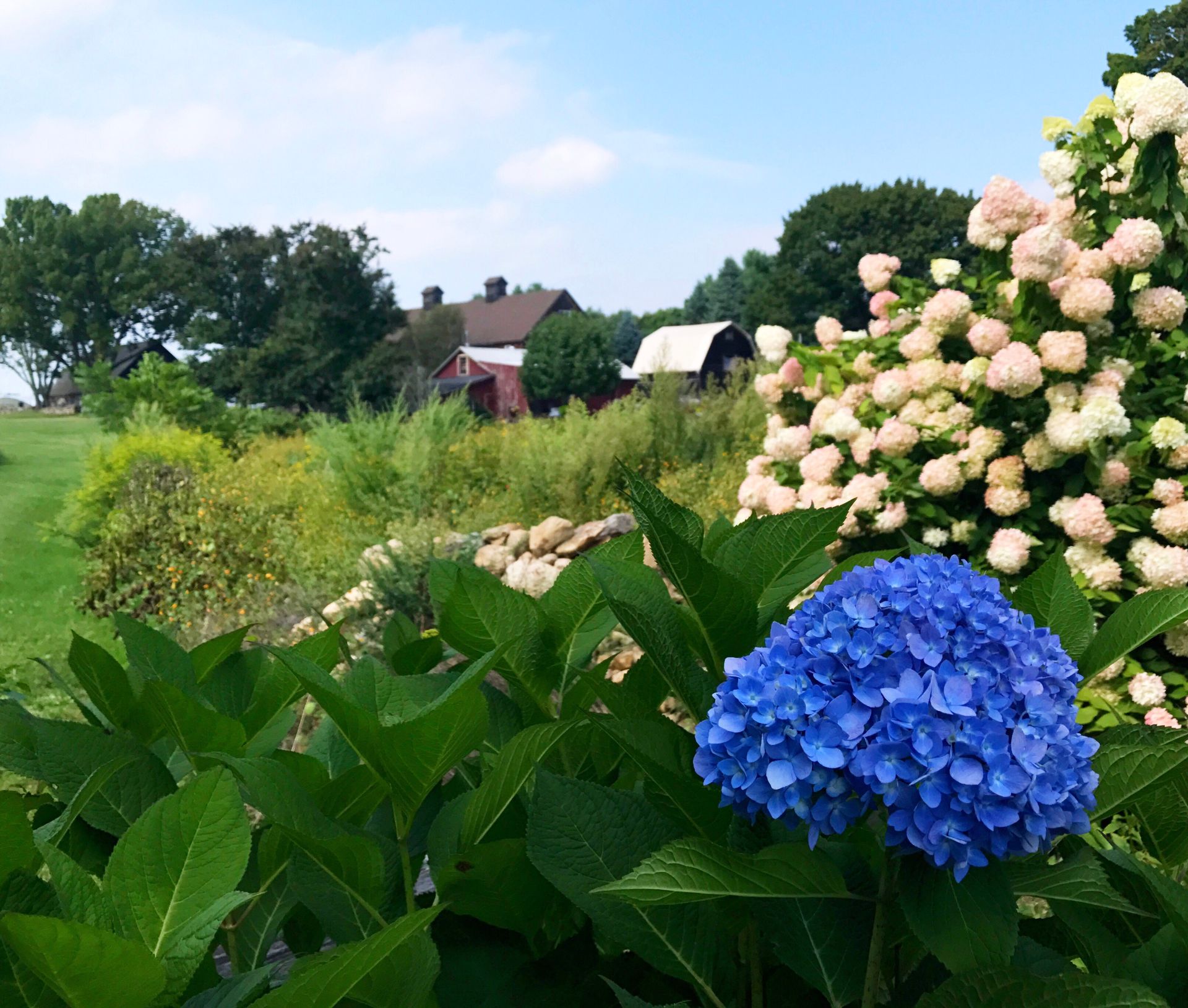 Experience the Charm of Beach Plum Farm in Cape May, NJ