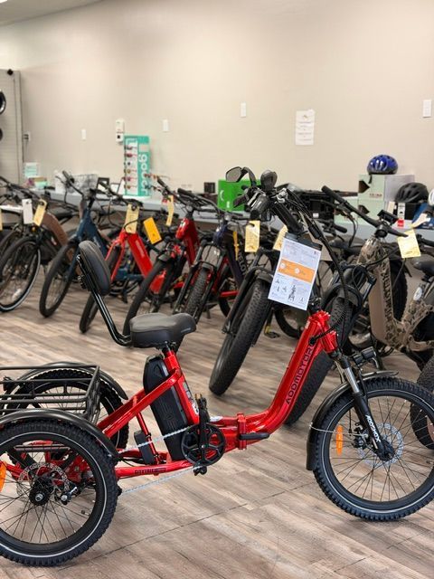 Indoor bike showroom with rows of electric bicycles, including a red trike-style e-bike in front.