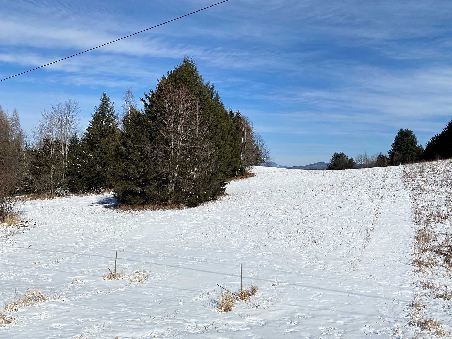 Snow-covered field with evergreens, under a blue sky with faint clouds.