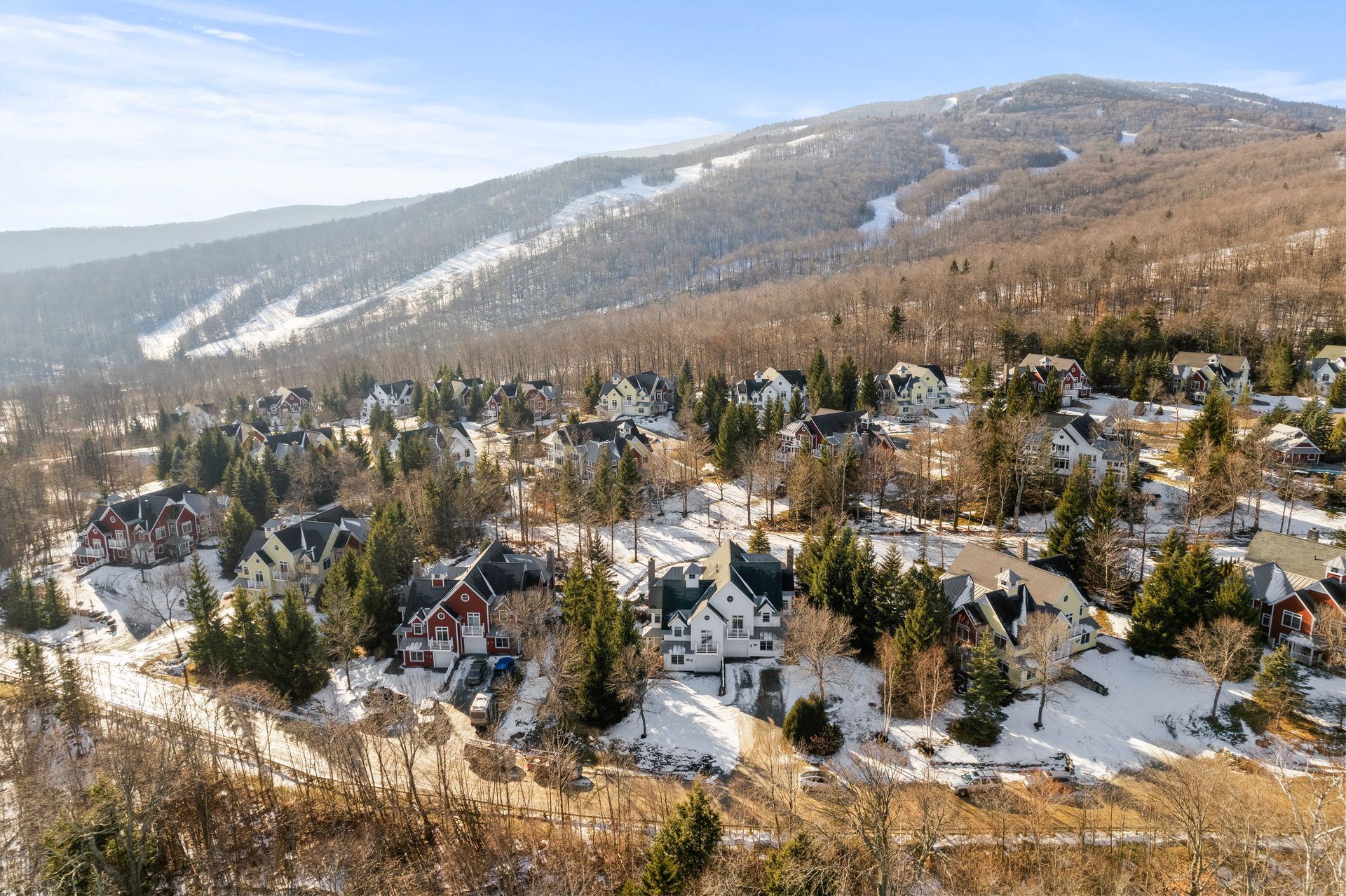 Houses and bare trees nestled at the base of a snow-covered mountain with ski runs under a blue sky.
