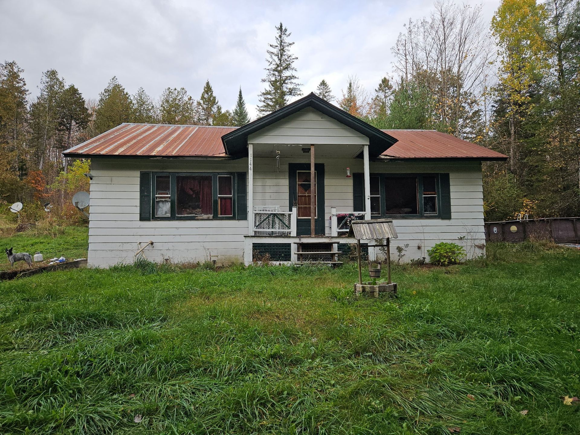 A white, single-story house with a metal roof, surrounded by a grassy yard and trees in autumn.