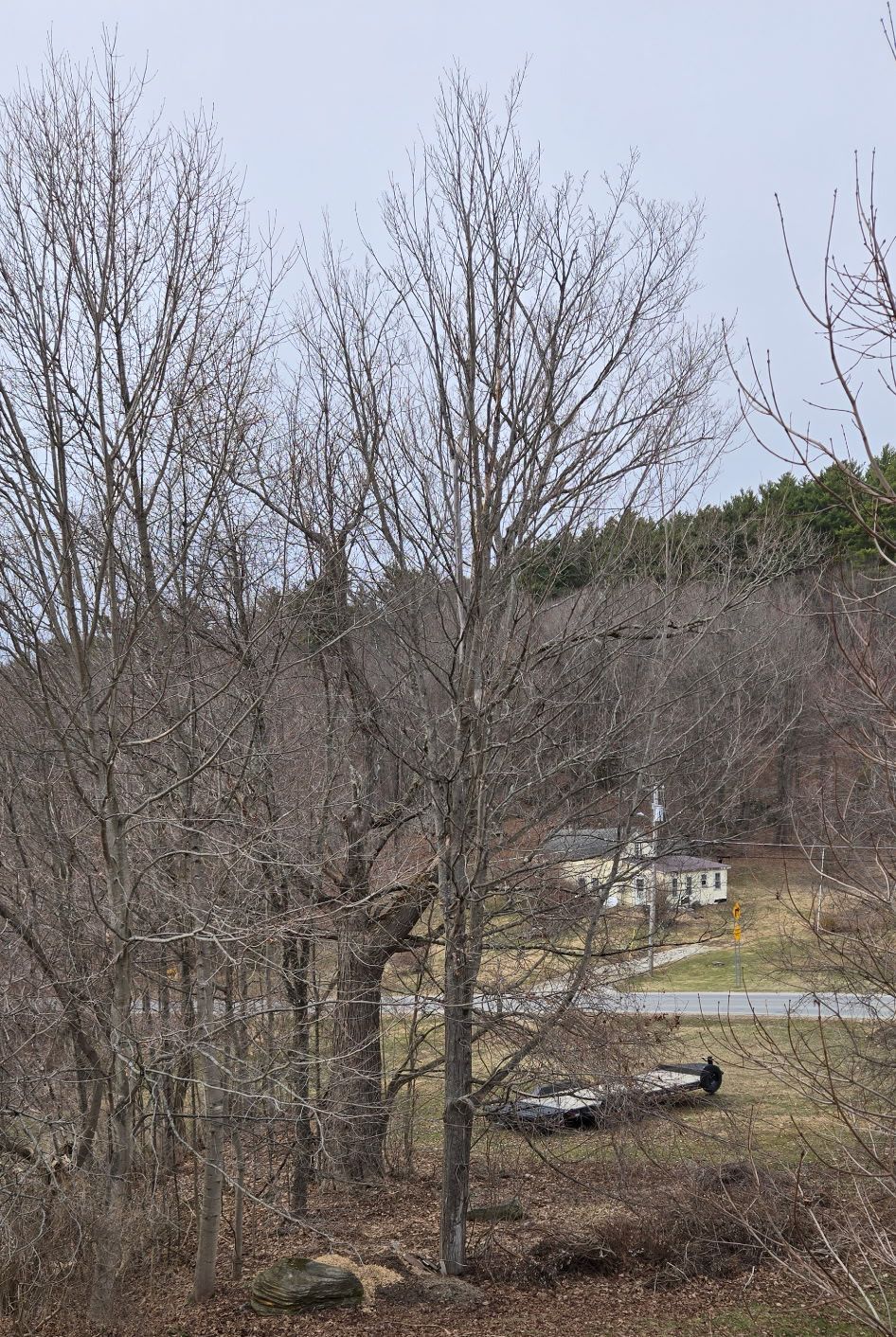 Bare trees stand in the foreground before a rural landscape with a house, road, and distant wooded hill under a gray sky.