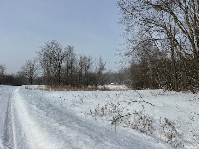 Open and wooded land parcel in northern Vermont countryside