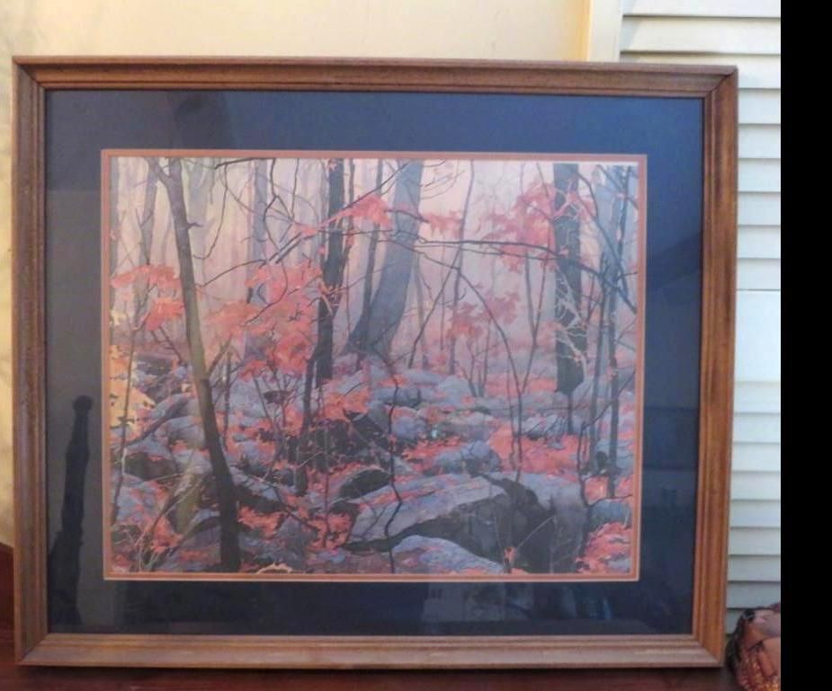 Framed forest scene with red leaves and large gray rocks. Brown frame.