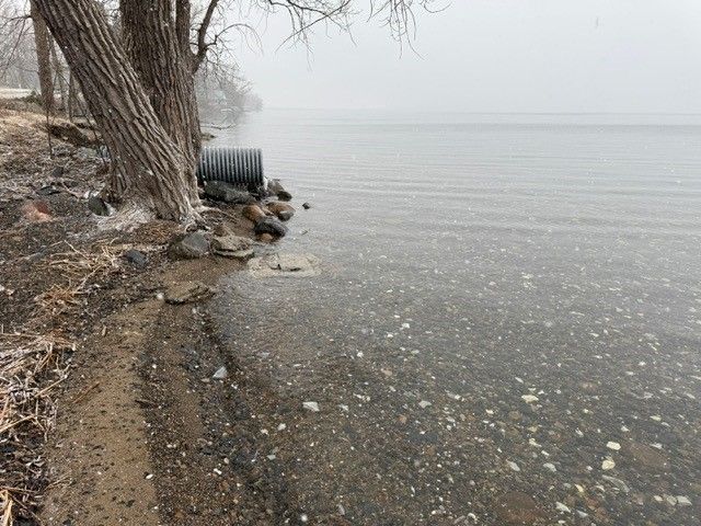 Shoreline with trees, a pipe, and water under an overcast sky.