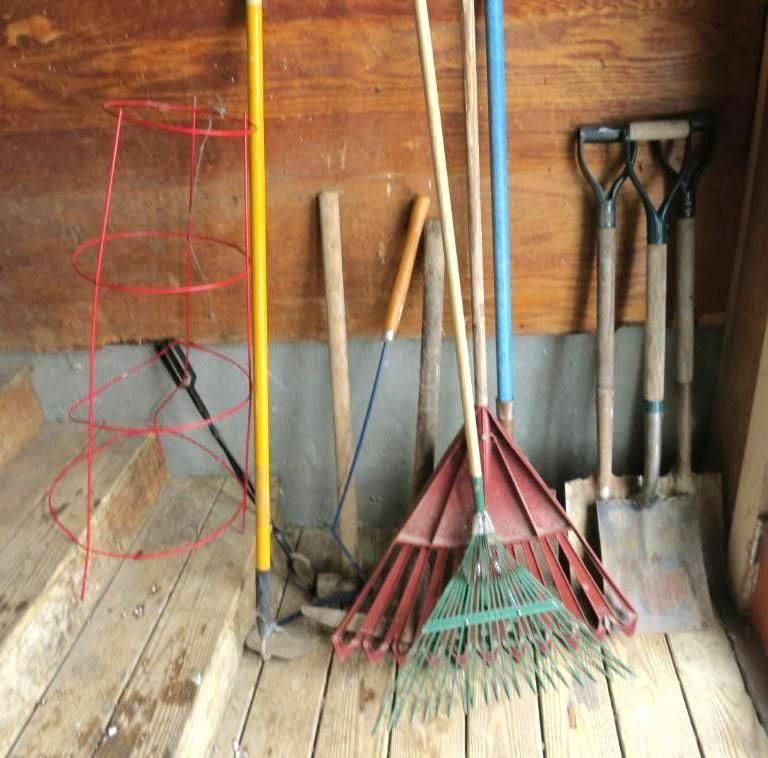 Garden tools, including rakes, shovels, and a tomato cage, lean against a wooden wall.