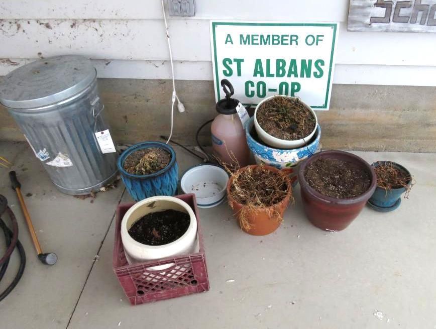 Several plant pots.