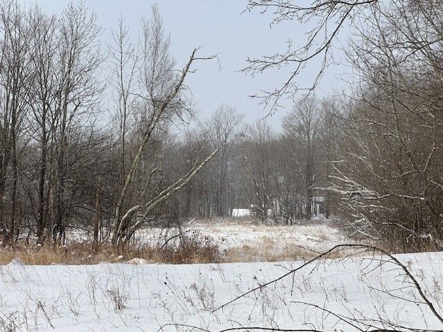 Vacant land for sale in Fairfield VT with mixed terrain and trees