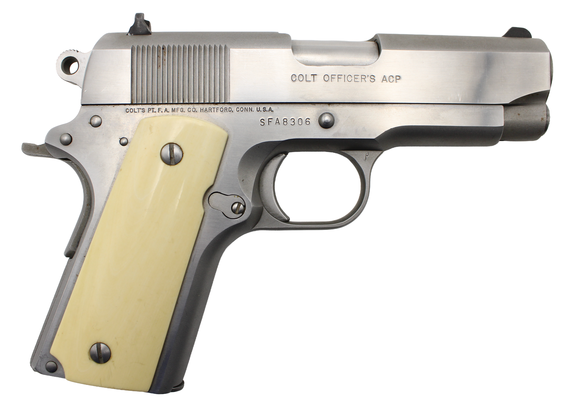 Colt Officer's ACP handgun, stainless steel, ivory grips.