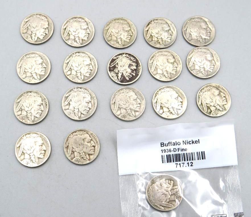 Buffalo nickels scattered on a surface, with a bagged coin and label.