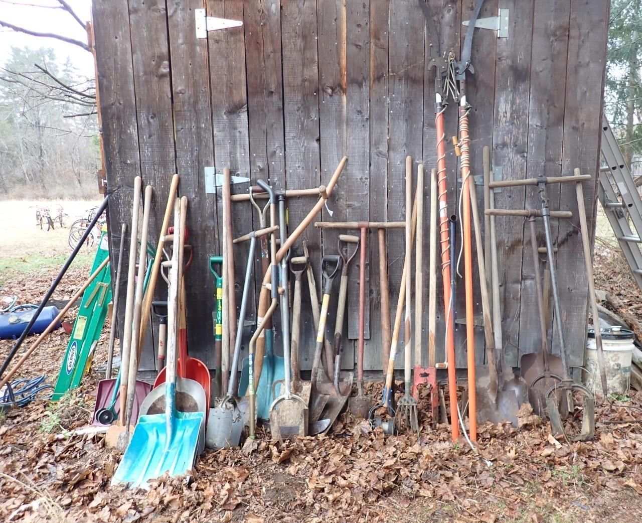 A variety of long-handled garden tools and shovels leaned against a wooden shed wall.