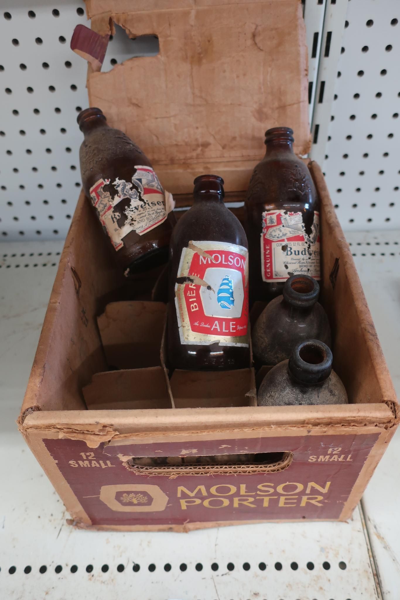 A cardboard Molson Porter box containing five old, empty beer bottles with faded labels.