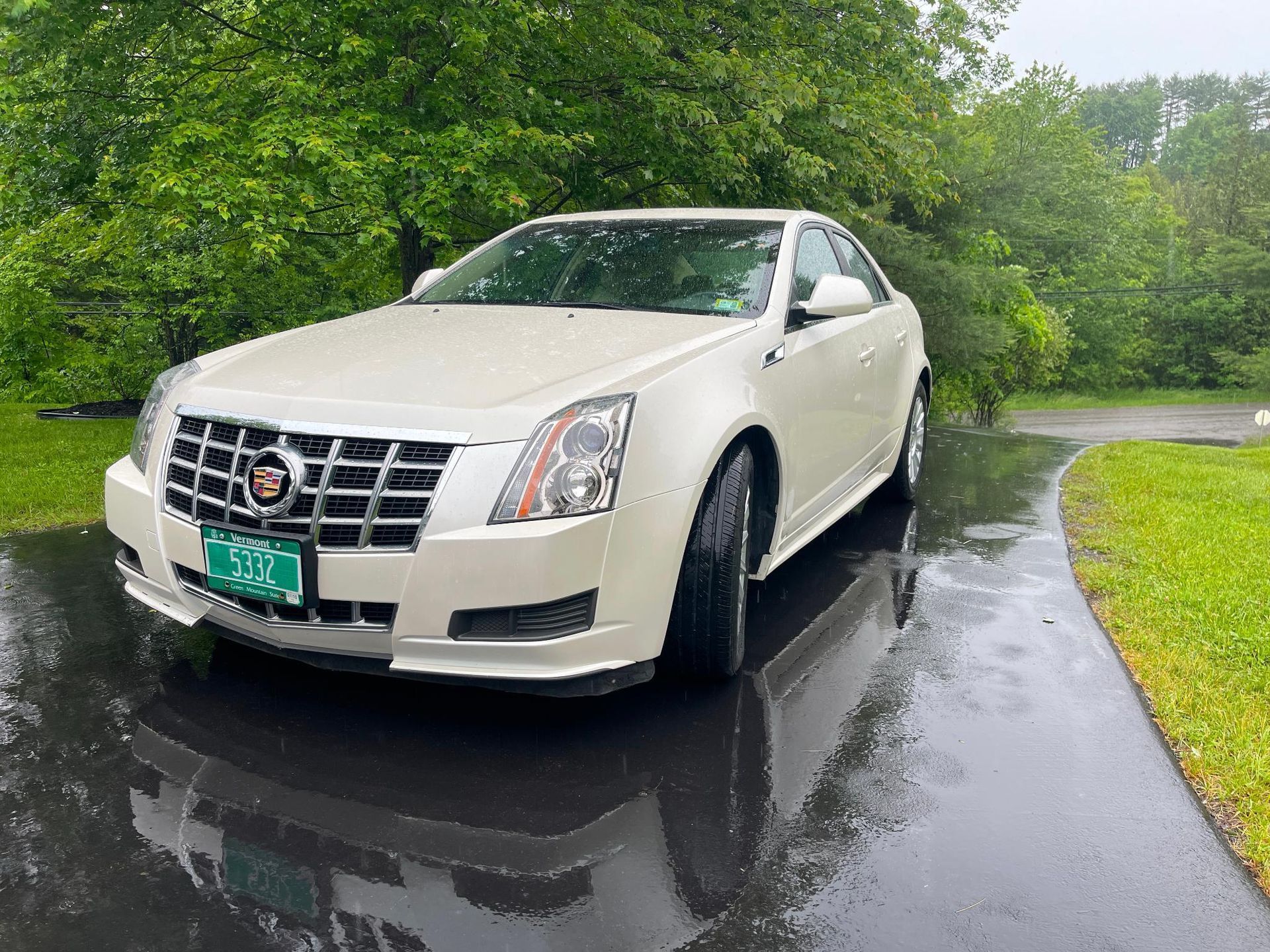 White Cadillac parked on a wet driveway beside green trees after rain