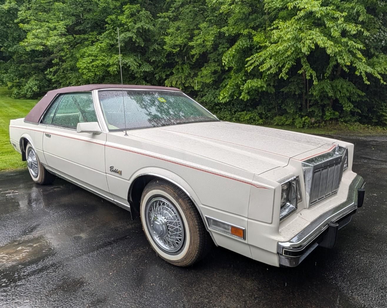 White vintage convertible parked on wet pavement beside green trees
