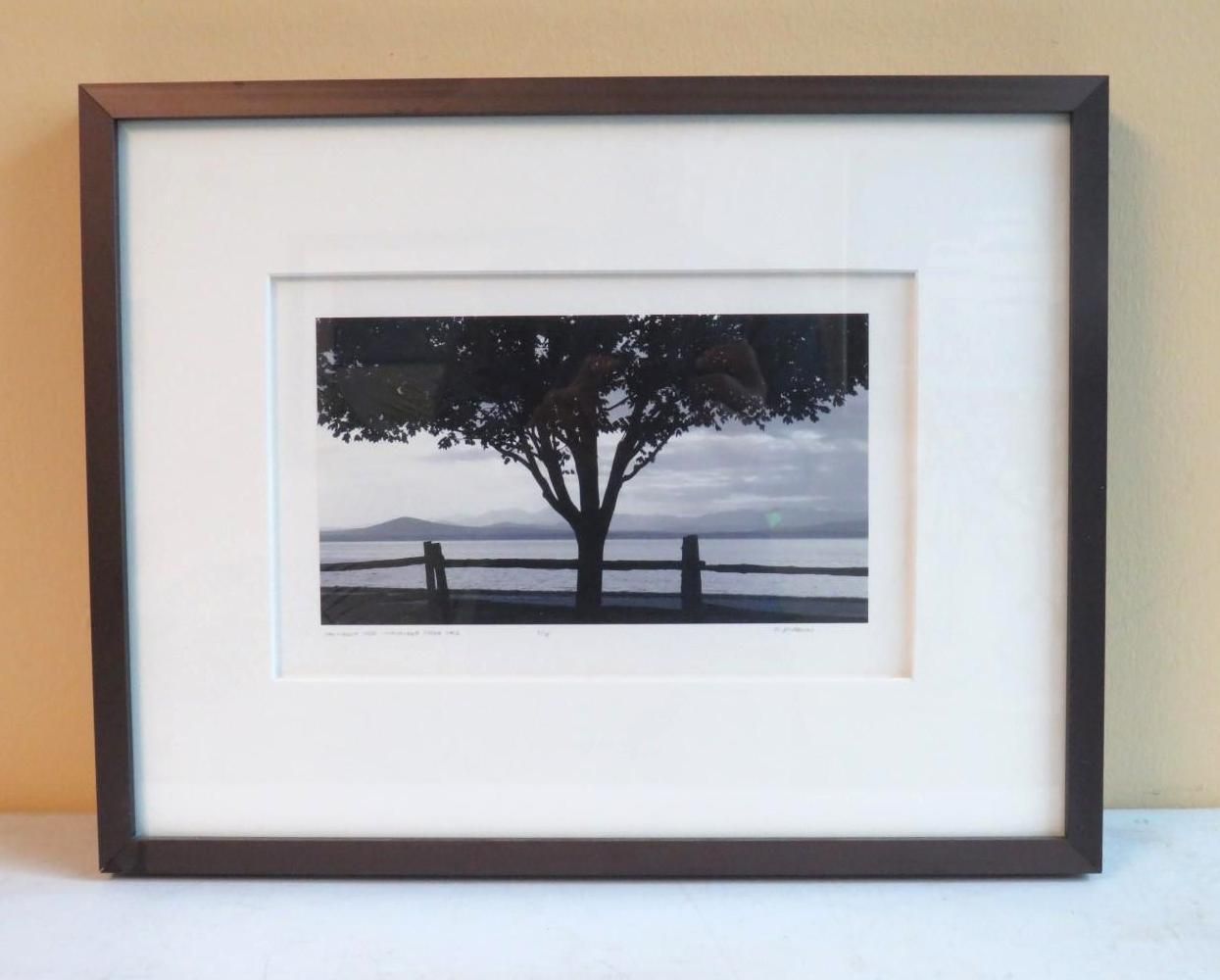 Black and white framed photo of a tree by a fence overlooking a body of water and mountains.