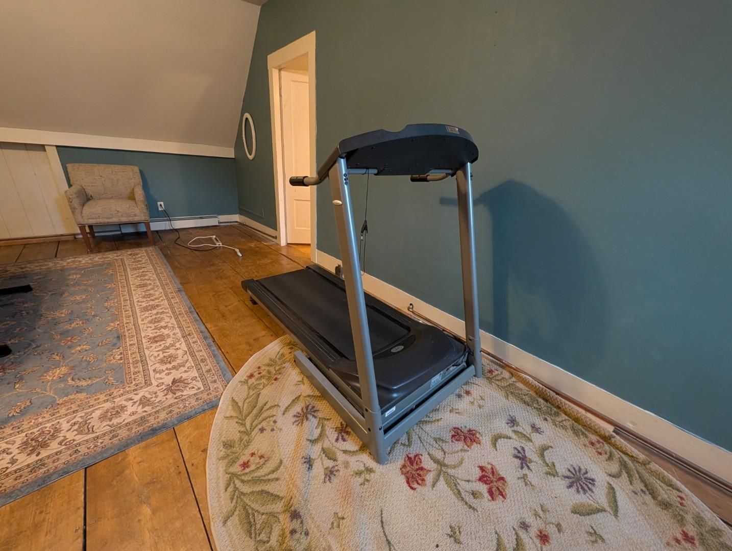 Treadmill on a floral rug