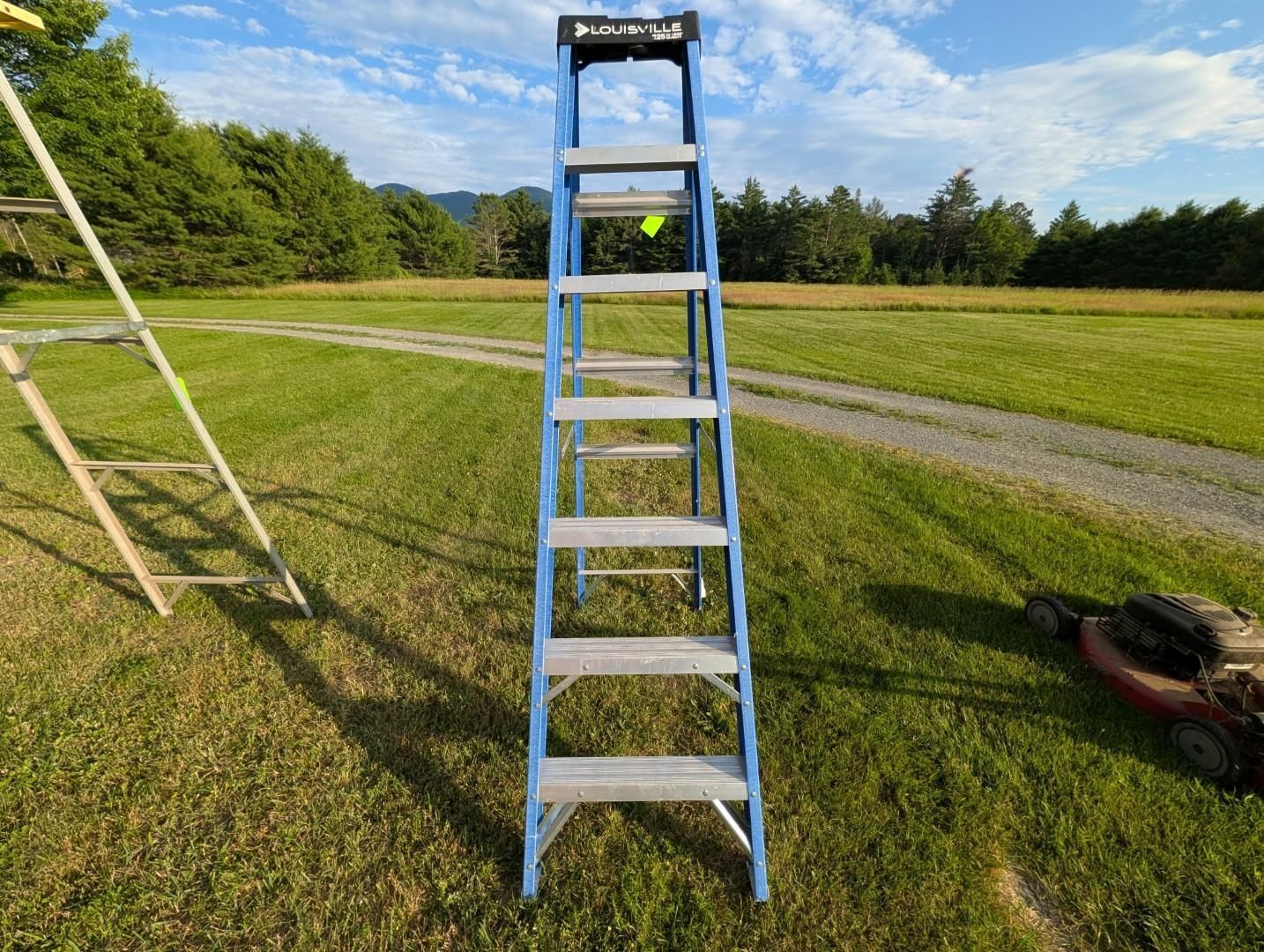 Blue ladder on a grassy field with a dirt path and trees under a sunny sky