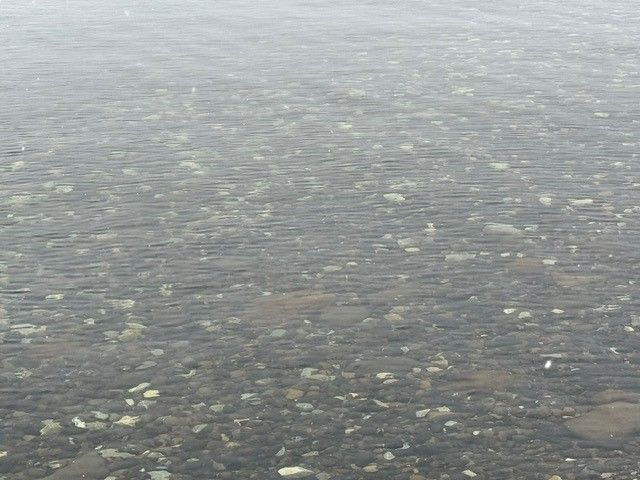 Clear water revealing a bed of pebbles and small rocks.