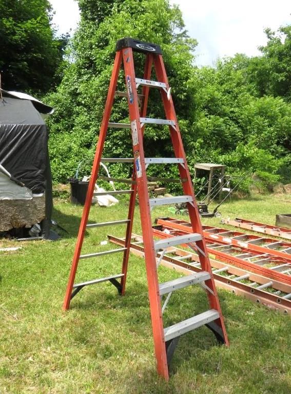 Orange step ladder on grassy ground. Trees and shed in the background.