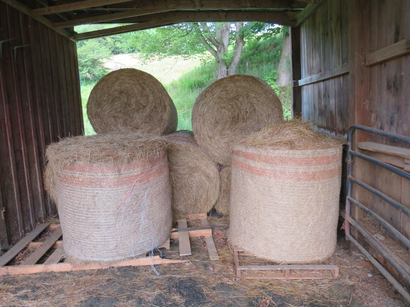 Hay bales inside a wooden barn. Round and cylindrical bales are stacked against the back wall and floor.