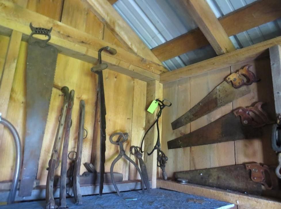 Antique tools, including saws and pliers, hanging in a wooden shed.