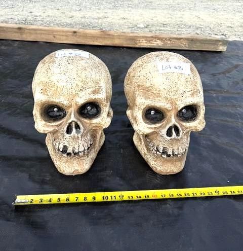 Two weathered skull statues with black eyes, next to a measuring tape on a black surface. Halloween Decoration.
