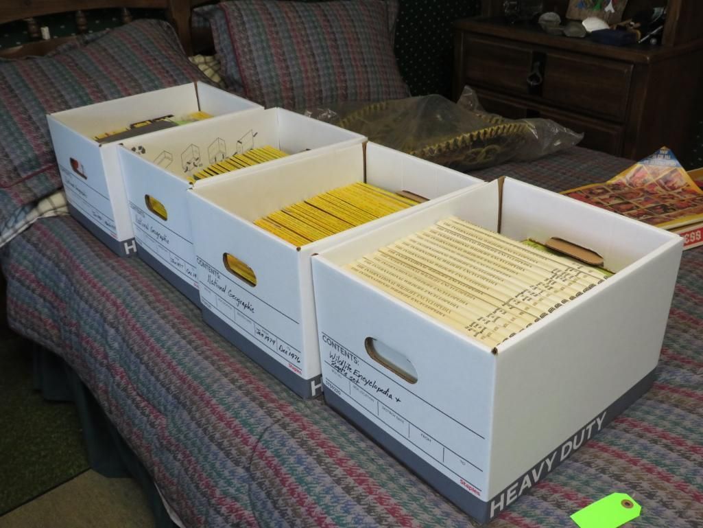 Four open file boxes on a bed, filled with files.