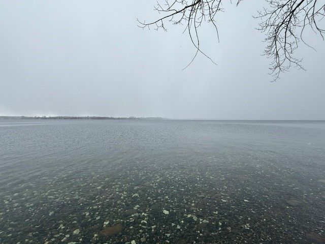 Gray lake under a cloudy sky with bare tree branches in the corner.