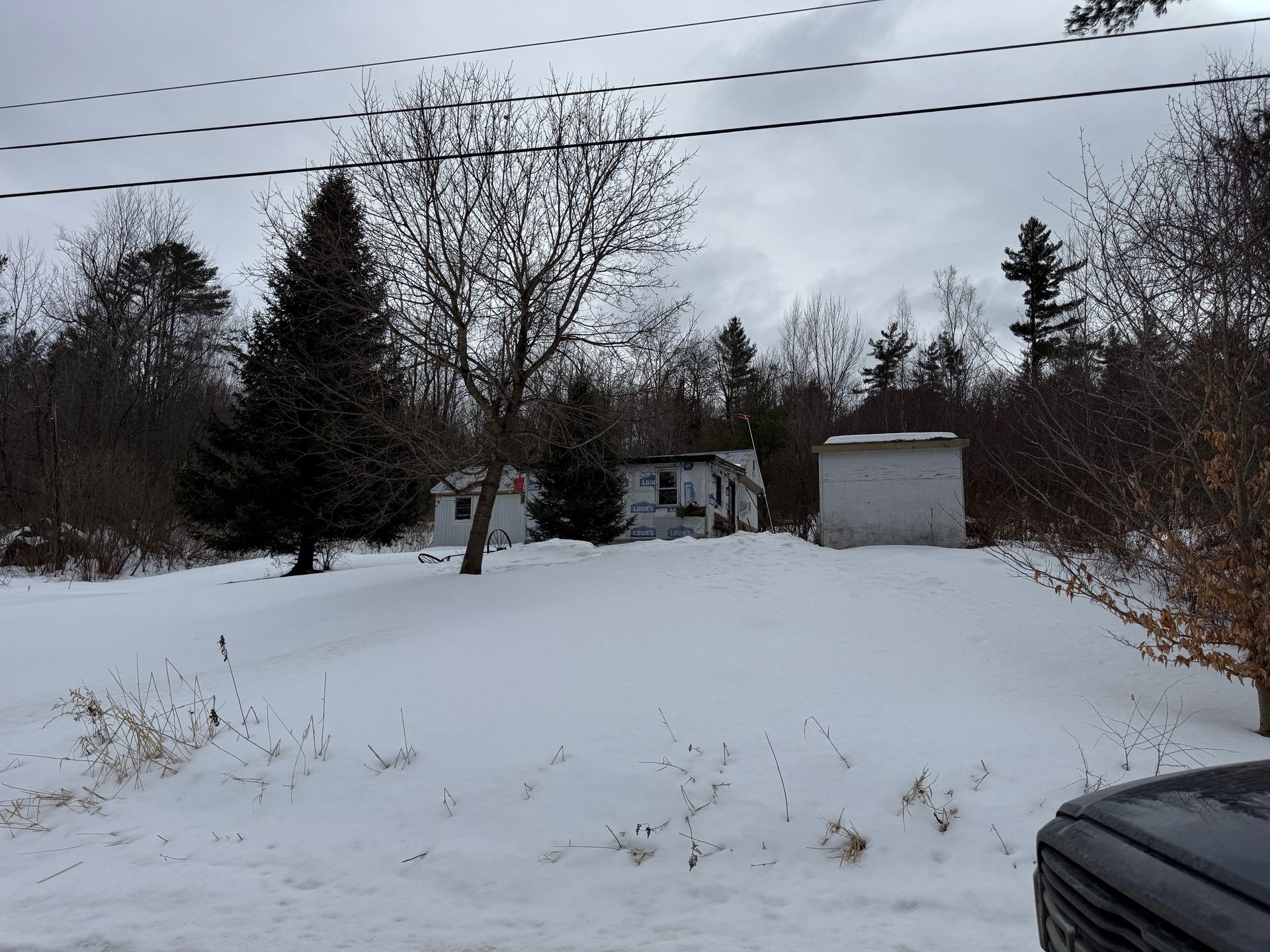 A small, light-colored house and detached shed sit on a snowy, open lot surrounded by bare trees under a cloudy sky.