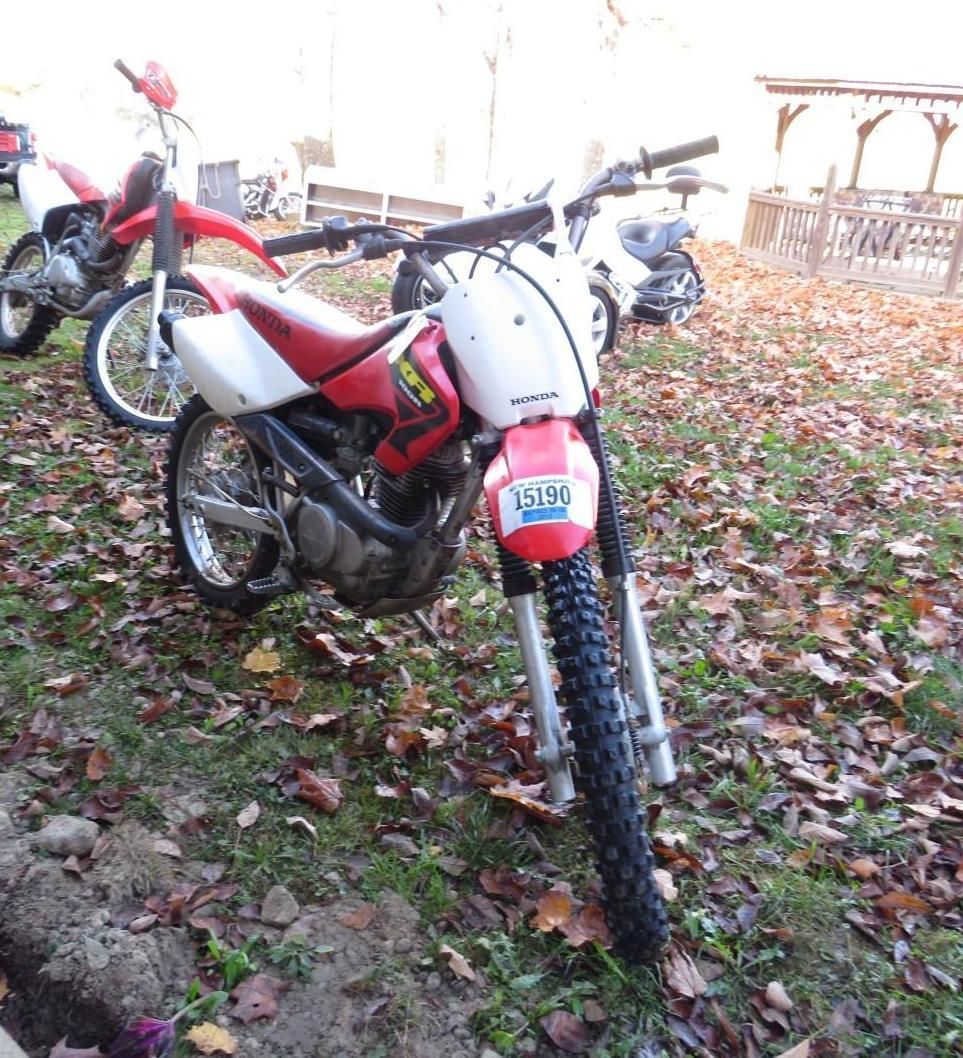 Red and white dirt bike on a grassy area covered with leaves, another bike in the background.