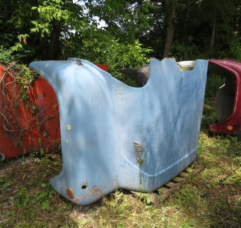 Light blue vehicle hood in tall grass.