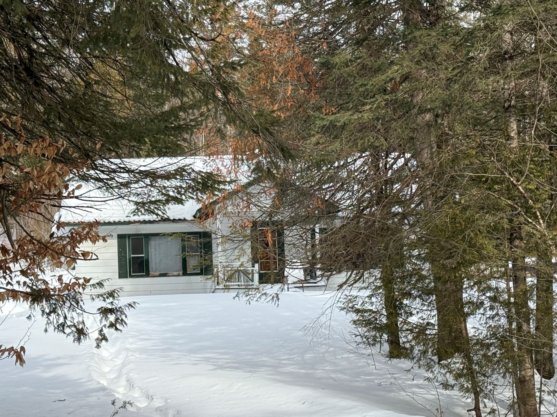 A small white cabin nestled among evergreen trees partially covered in deep winter snow.