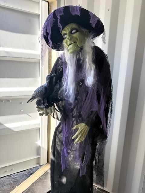 Witch Halloween decoration with green face, black hat, holding raven. Wearing black robe with purple accents.