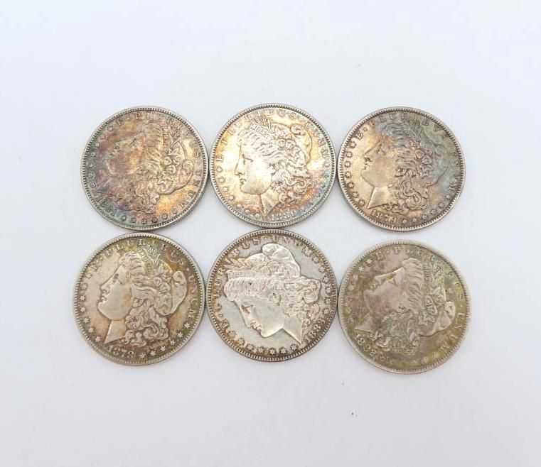 Six silver Morgan dollar coins on a white surface, showing different degrees of wear.
