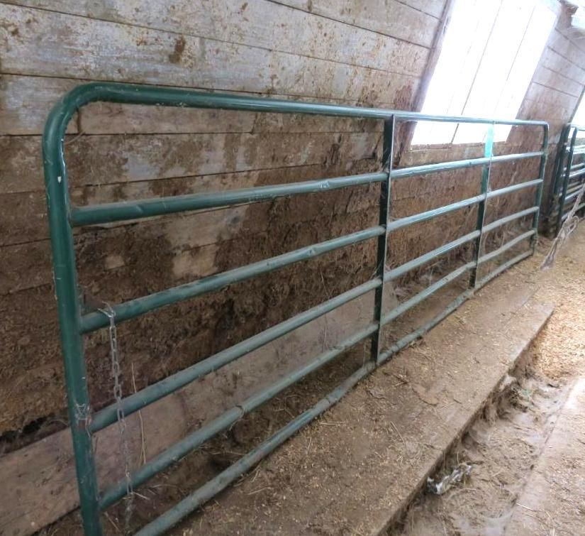 Green metal livestock gate inside a barn.
