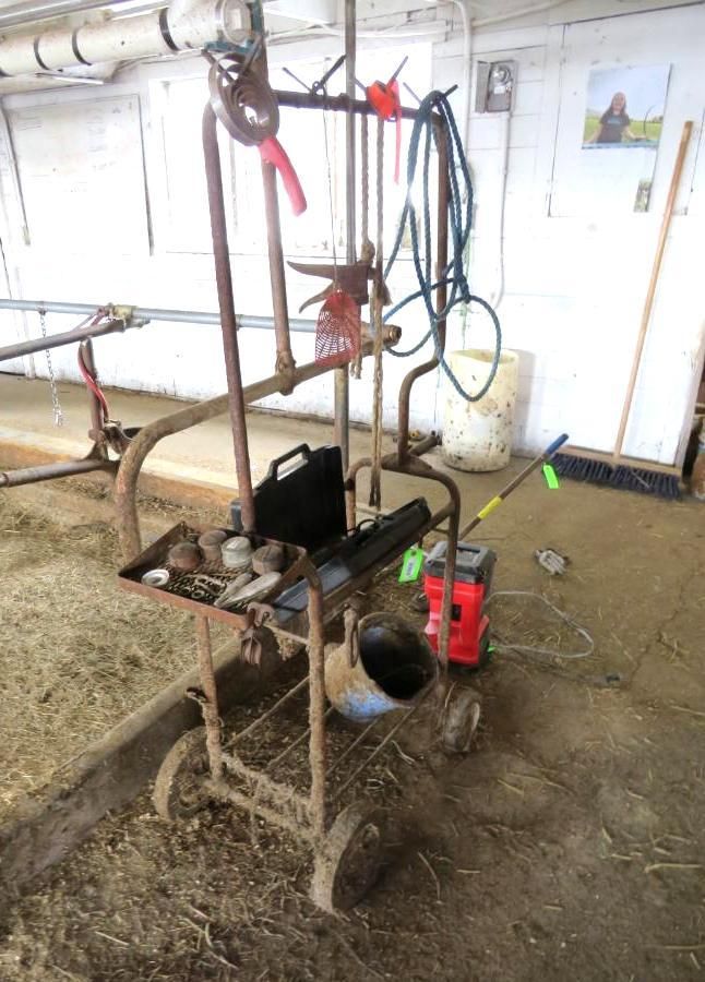 Cart with tools and equipment in a barn, likely used for animal care and maintenance.