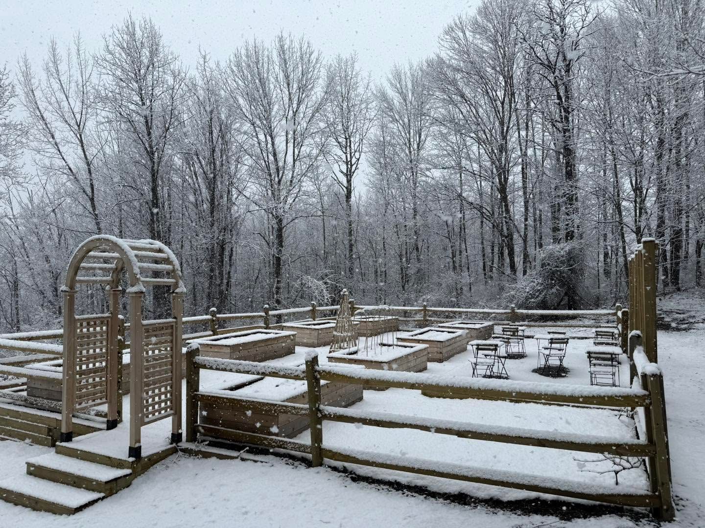 Snow-covered garden plots with wooden fence and bare trees in winter