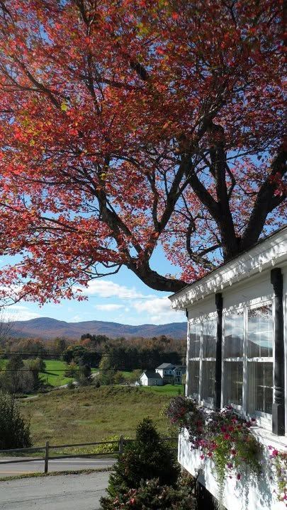 Red autumn tree beside a white house overlooking a grassy field and distant hills