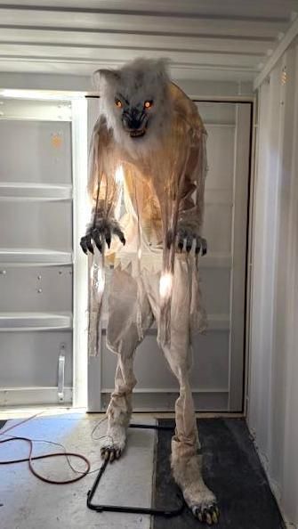 A tall, monstrous werewolf with glowing eyes and tattered fur stands in a white enclosure. Halloween Decoration.