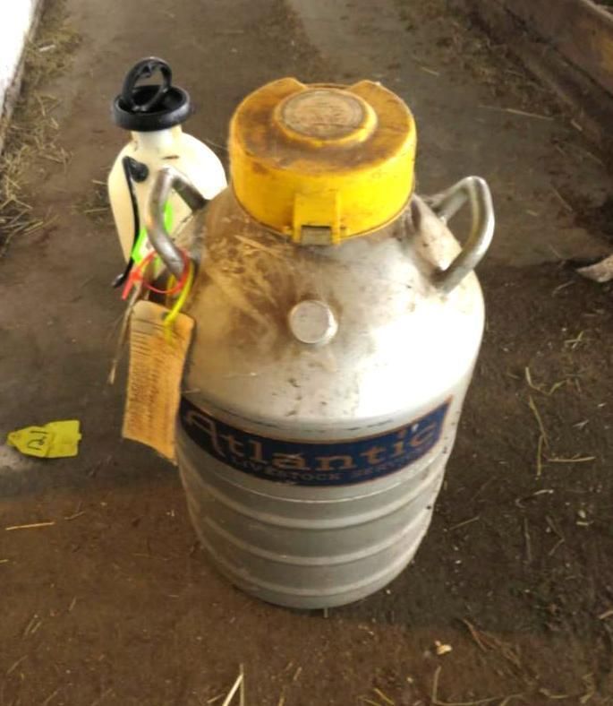 A cylindrical silver liquid nitrogen tank with a yellow lid and label.