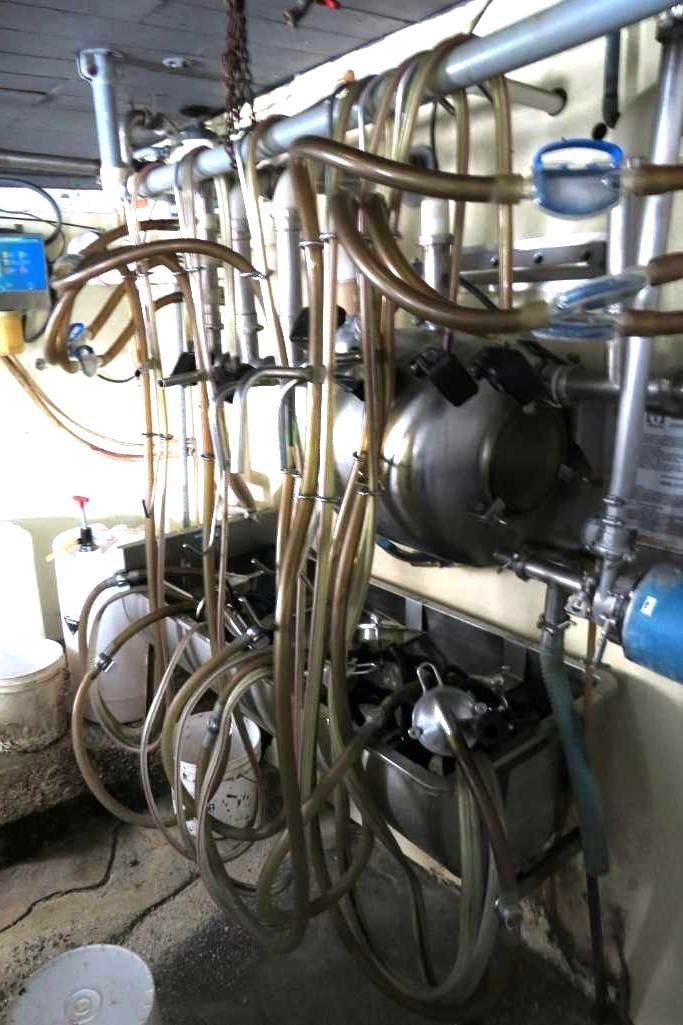 Milking machine apparatus inside a dairy barn, with tubes, tanks, and other equipment.