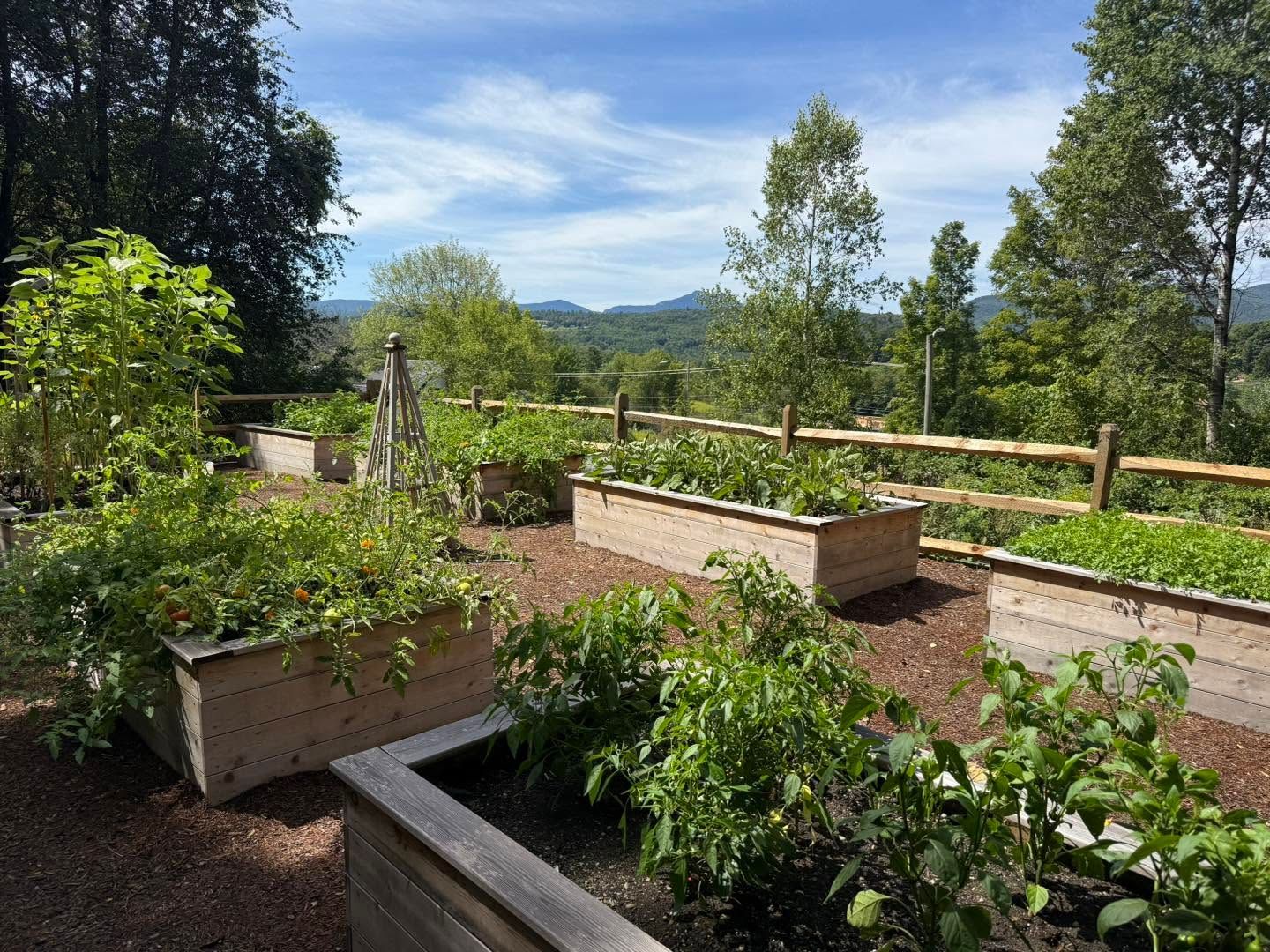 Raised garden beds in a lush backyard overlooking green hills and a blue sky
