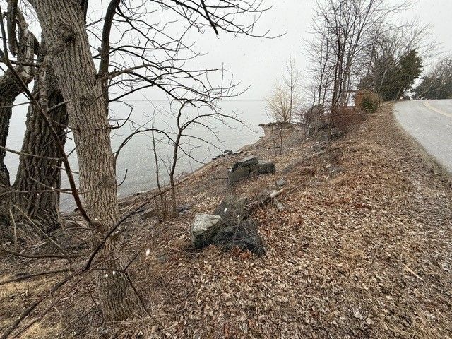 View of a shoreline next to a road, with bare trees and a cloudy sky.