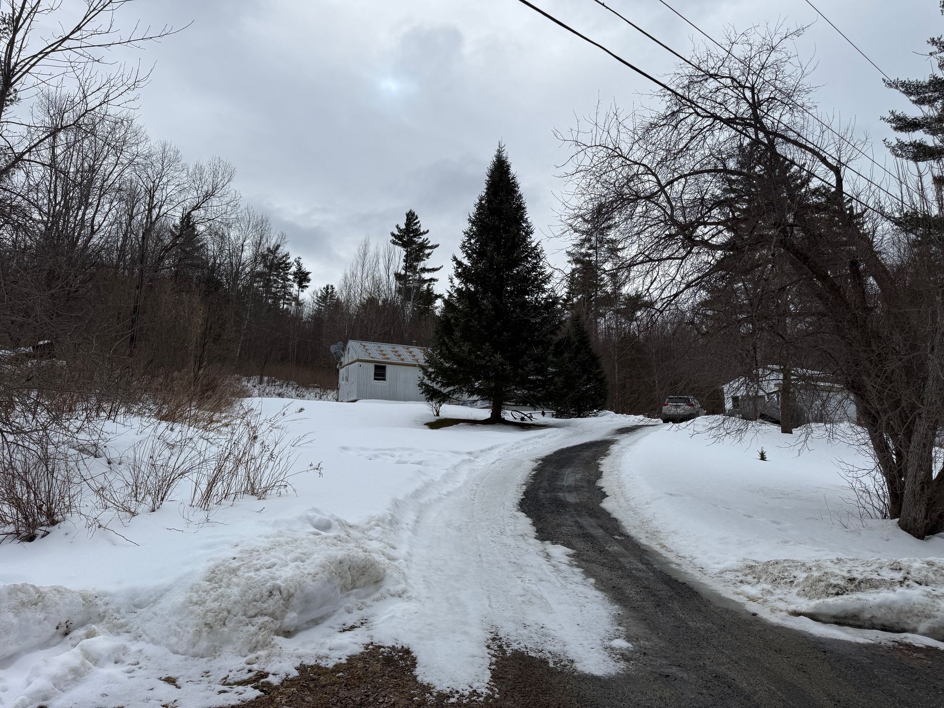 A gravel driveway leads through a snowy yard toward a small white building and a large evergreen tree under a cloudy sky.