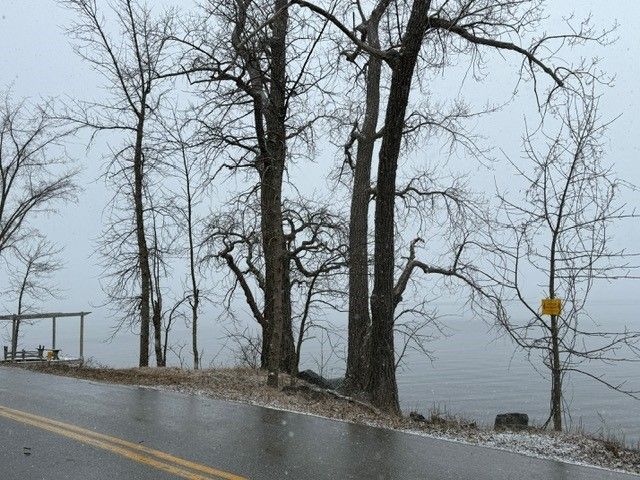 Bare trees on a roadside overlooking water on a gray, snowy day.